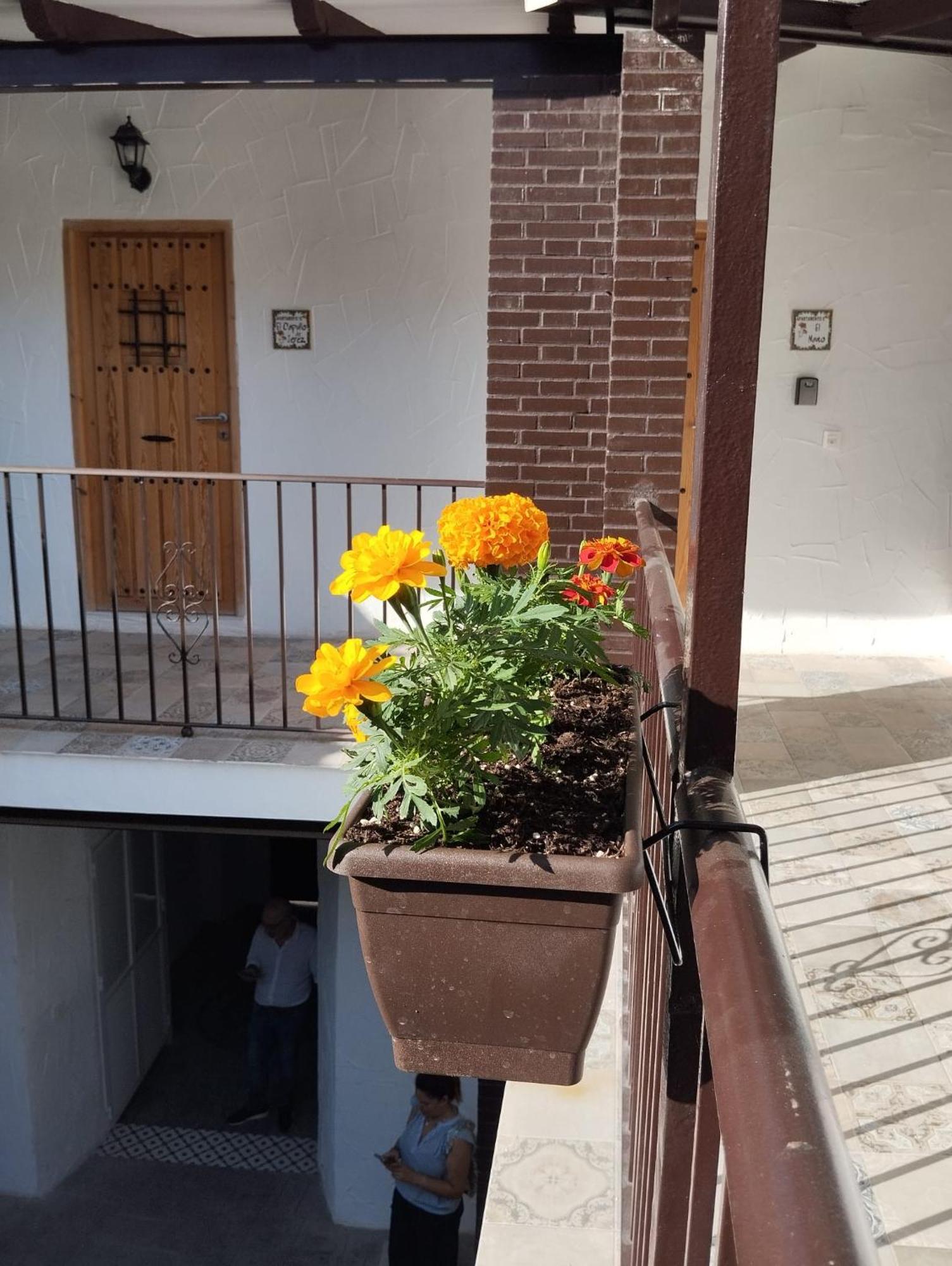 Suite San Mateos 15 Jerez de la Frontera Bagian luar foto