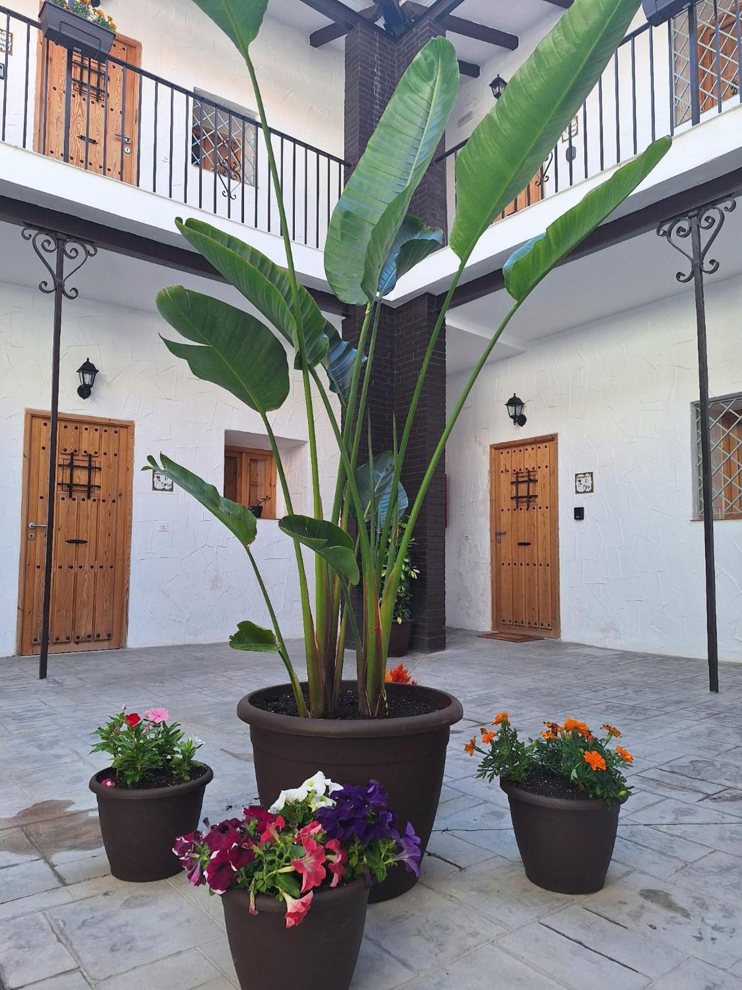 Suite San Mateos 15 Jerez de la Frontera Bagian luar foto